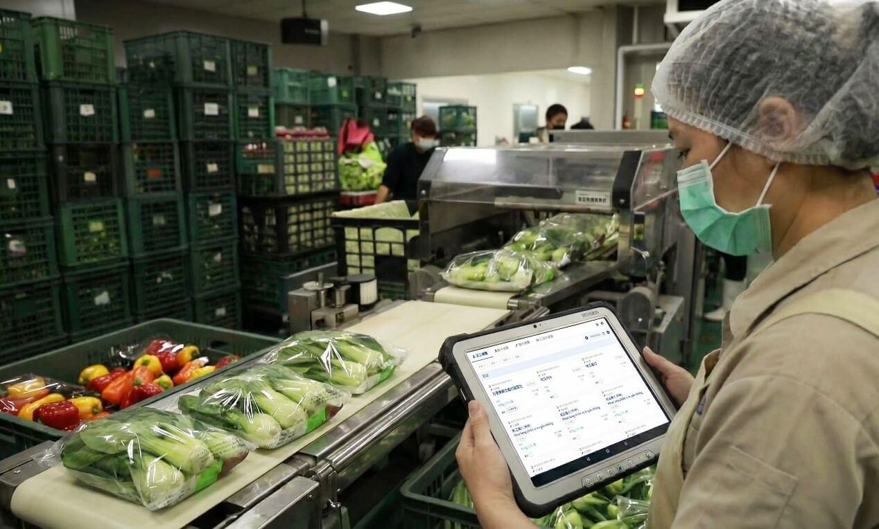 農業 4.0 的最後一哩路：凌聚科技破解包裝場數位缺口