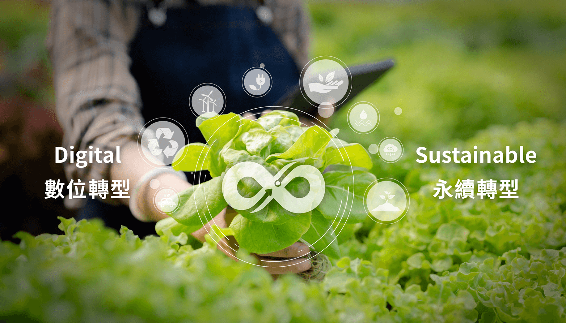 凌聚科技聯手點點全球推動數位升級